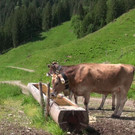 DSC00989.JPG
