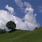 DSC01022.JPG