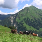 DSC01034.JPG