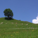 DSC01040.JPG