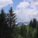 DSC01043.JPG