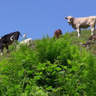 DSC01048.JPG