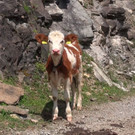 DSC01054.JPG