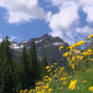 DSC01060.JPG