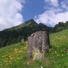 DSC01061.JPG
