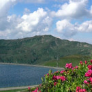 DSC01071.JPG