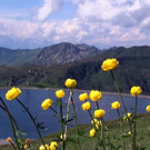 DSC01084.JPG