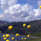 DSC01096.JPG