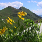 DSC01101 _2_.JPG