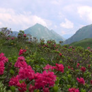 DSC01101.JPG
