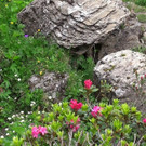 DSC01104_.JPG