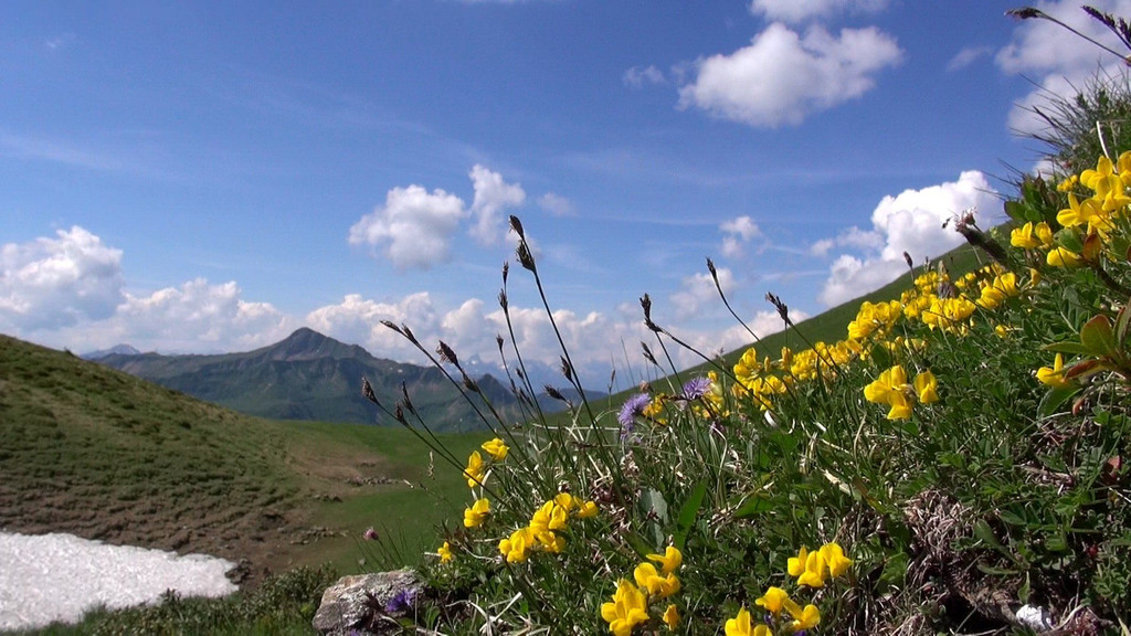 DSC01104.JPG