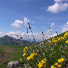DSC01104.JPG