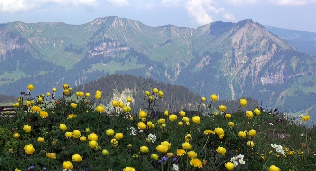 DSC01120.JPG