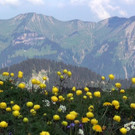 DSC01120.JPG
