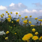 DSC01123.JPG