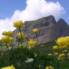 DSC01126.JPG