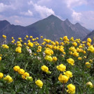 DSC01139.JPG