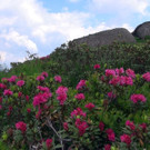 DSC01169.JPG