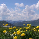 DSC01147.JPG