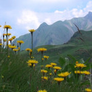 DSC01171.JPG