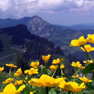 DSC01196.JPG