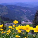 DSC01198.JPG