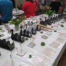 BK_OL_Montlingen 2014 28.JPG