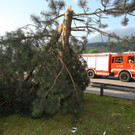 Unfall Walgauautobahn28.jpg