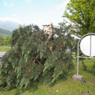 Unfall Walgauautobahn13.jpg