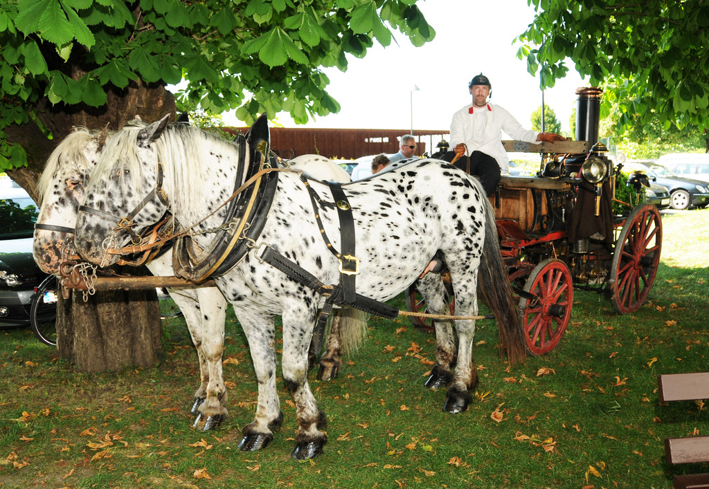 Feuerwehr-Oldies_Umzug 21-06-2014 1.jpg