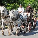 Feuerwehr-Oldies_Umzug 21-06-2014 46.jpg