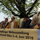 Haflinger Weltausstellung in Ebbs