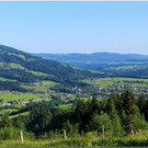 nied 001.jpg
