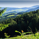 nied 009.jpg