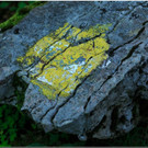 nied 033.jpg