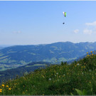 nied 089.jpg