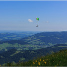 nied 091.jpg