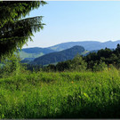 nied 014 _1_.jpg