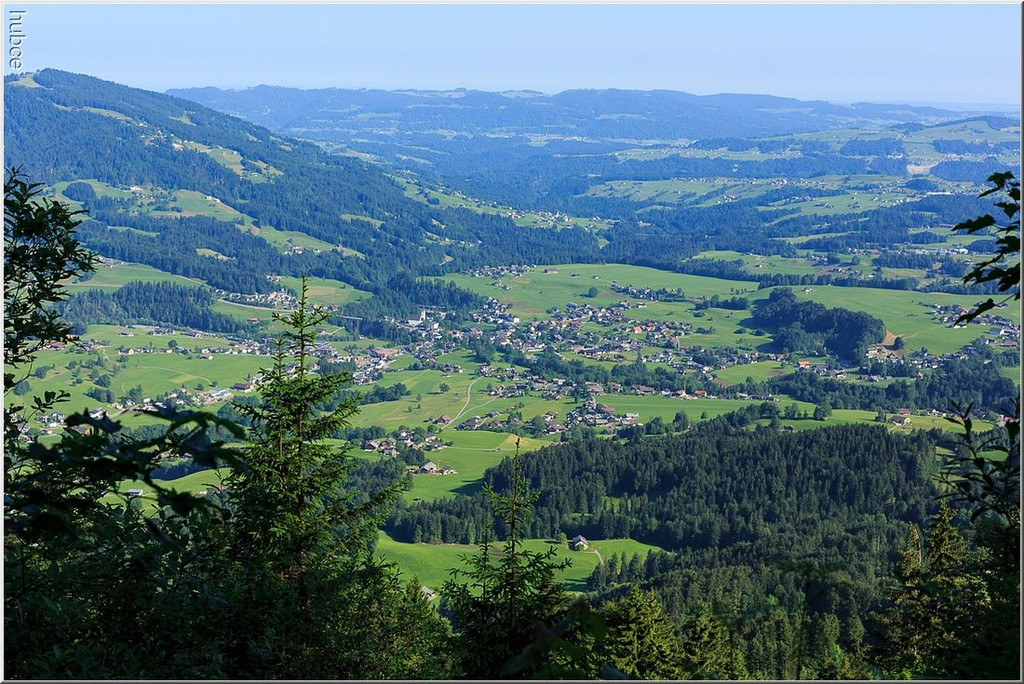 nied 040 _1_.jpg