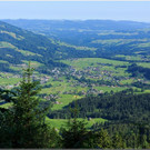 nied 040 _1_.jpg