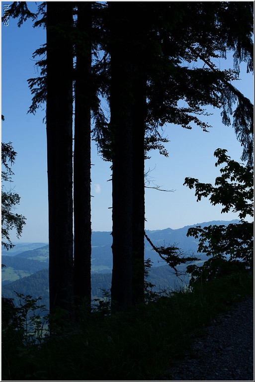 nied 045 _1_.jpg