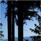 nied 045 _1_.jpg