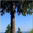 nied 051 _1_.jpg