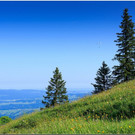 nied 073 _1_.jpg
