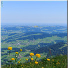 nied 093 _1_.jpg
