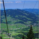 nied 150 _1_.jpg