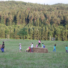 IMG_2933.jpg