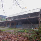 Schlachter AREAL D Holzhalle _3_.jpg