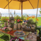 Kunstmarkt am See Termin 2014 _5_.jpg